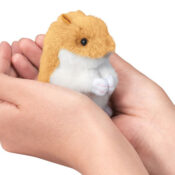 Dream Hamster